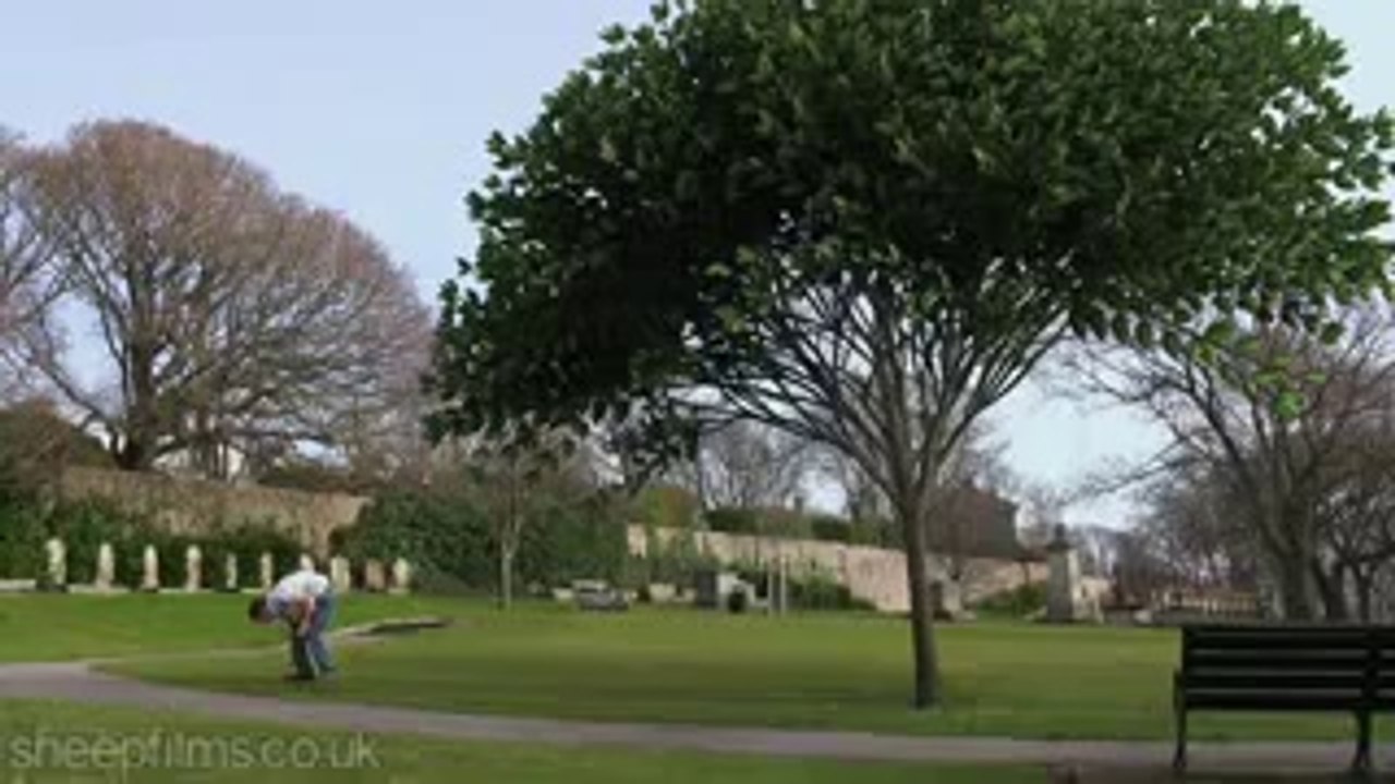 special tree