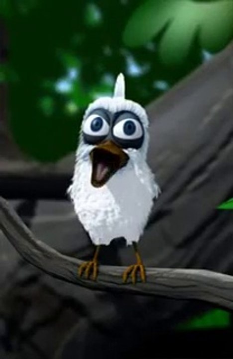 Singing Funny Bird