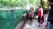 Boy Gets Chased By Fish