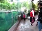 Boy Gets Chased By Fish