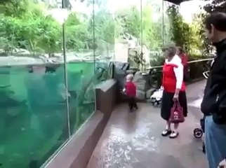 Boy Gets Chased By Fish