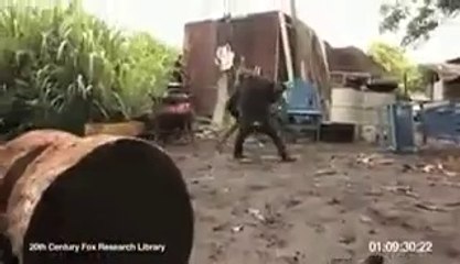 Playing with Chimpanzee