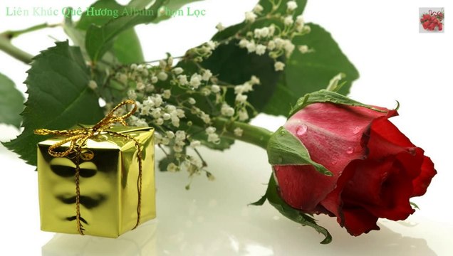 Album Nhạc Trữ Tình Tuyển Chọn Hay Nhất Mọi Thời Đại