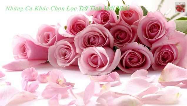 Liên Khúc Nhạc Vàng Trữ Tình Chọn Lọc