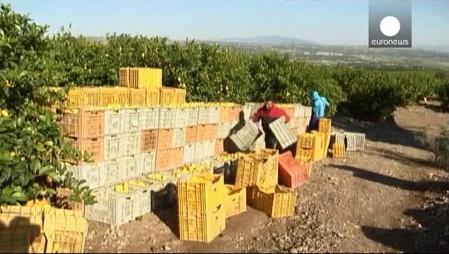 Rusia contraataca prohibiendo las importaciones de productos agrícolas