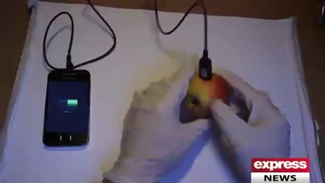 یا آپ تصور کرسکتے ہیں کہ آپ کا موبائل فون آلو اور سیب سے بھی چارج ہوسکتا ہے؟ جی ہاں! ایسا بالکل ممکن ہے۔