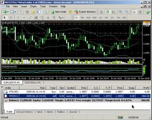 The Power of Hedging in Forex