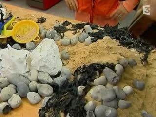 Etretat,  la Falaise