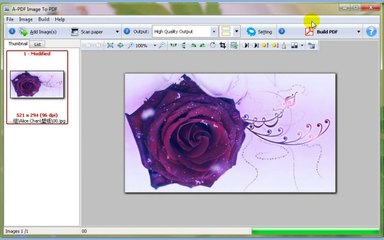 Can I rotate or crop the image and build it to PDF file by using A-PDF Image to PDF?