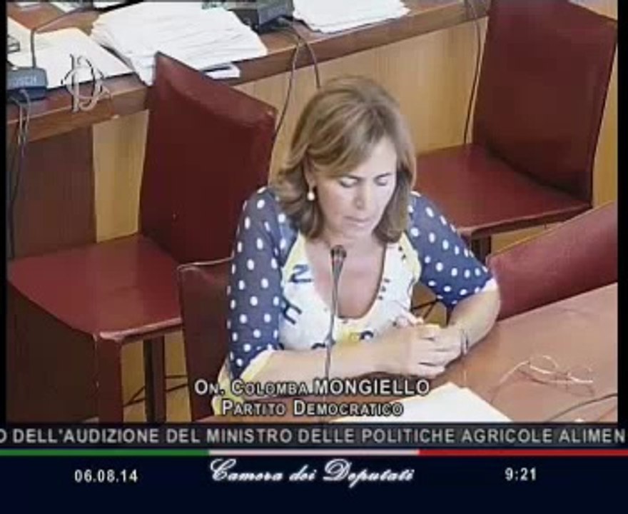 Roma - Seguito audizione Ministro Martina (06.08.14)