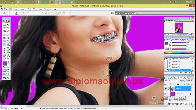 Adobe Photoshop 7.0 Lesson 13