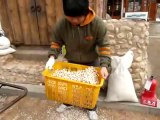 Kore'de patlamış mısır nasıl yapılır?