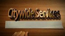 Citywide Services Real Estate Appraisers Chicago & Suburbs