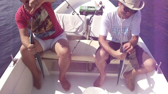 AKYA AVI ZARGANA AVI YAPILMADAN MUMKUN OLMAZ - adrasanbalik.com