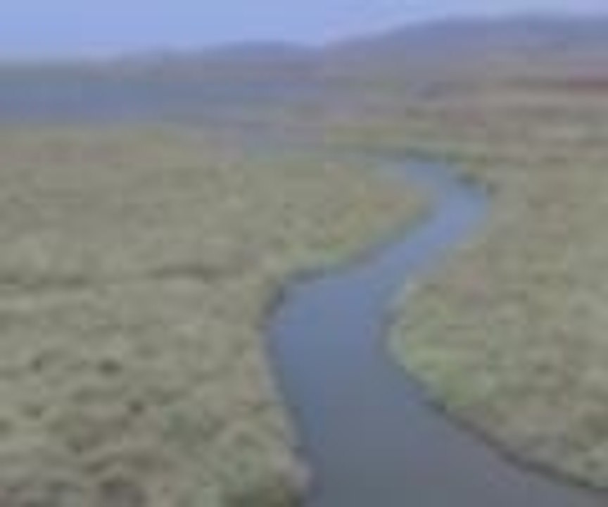 Yavru flamingolar "kreşte" eğitim alıyor