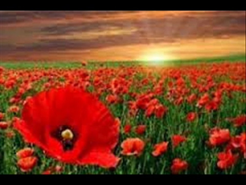 YILDIZ DEMİRKOL SAVAŞ-yıldızlıtürküler-SUYA GİDER AL YAZMALI BİR GELİN