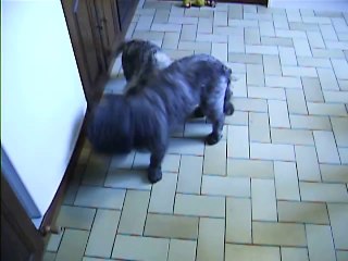 jeux à midi et demi