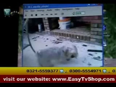 Magic Pen in pakistan 0300-5554971