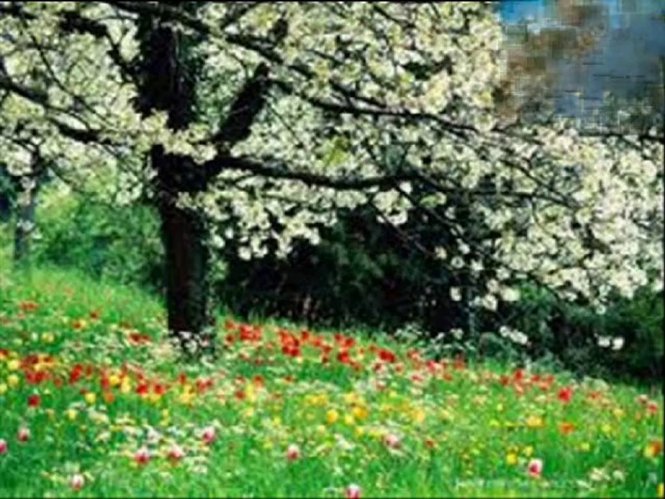 YILDIZ DEMİRKOL SAVAŞ-yıldızlıtürküler-YANDI ÇUKUROVA