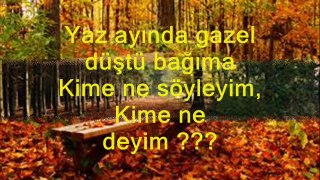 YILDIZ DEMİRKOL SAVAŞ-yıldızlıtürküler-YİNE KARLAR YAĞDI GÖNÜL DAĞIMA