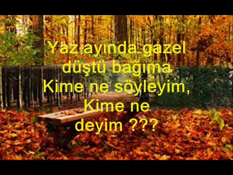 YILDIZ DEMİRKOL SAVAŞ-yıldızlıtürküler-YİNE KARLAR YAĞDI GÖNÜL DAĞIMA