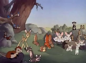 Donald Duck- Donalds Camera