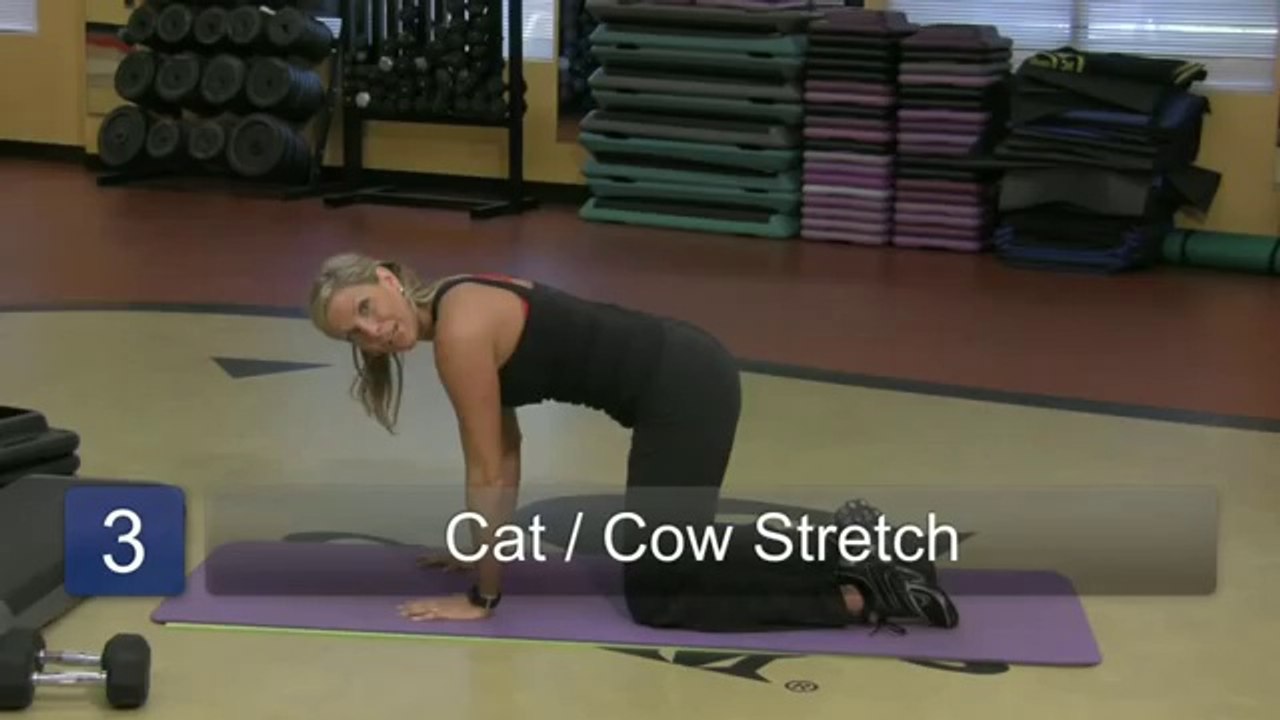 Total Body Exercise & Fitness _ Back Exercises & Stretches