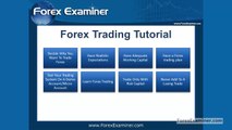 Forex Trading Tips - Essential Forex Trading Tips For Beginners