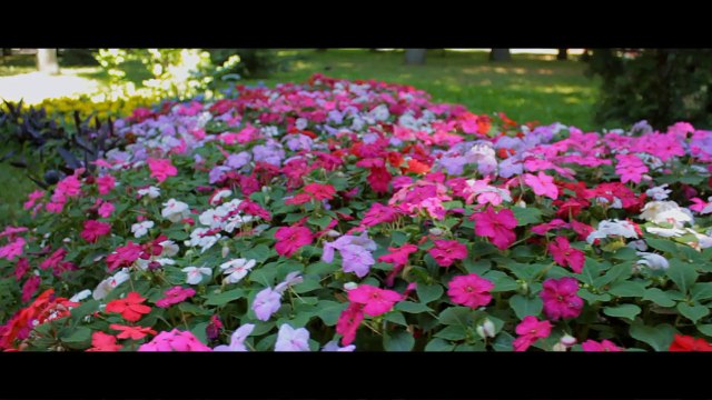 Прогулка Валя и Аня