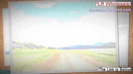 PLR Wholesaler Reviews (Watch this 2014)