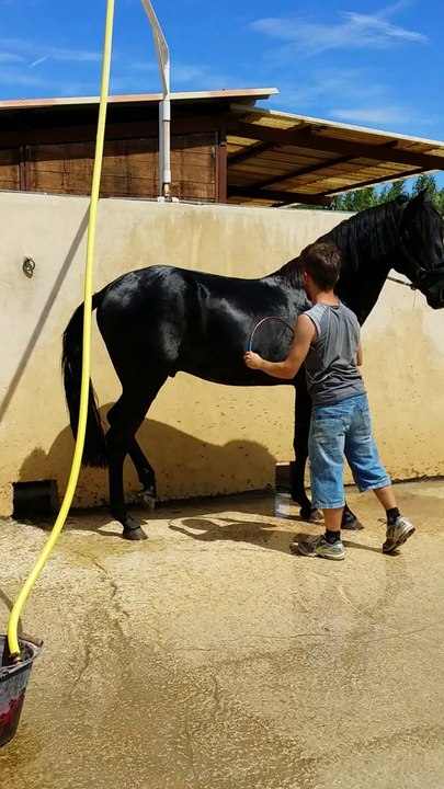 Vidago à la douche