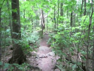 Wandern im Algonquin Park