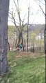 Rope Swing Ride Gone Totally Wrong