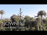 “Tresco Abbey Garden” by Howard Sooley