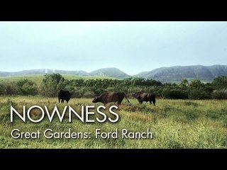 “Ford Ranch” by Albert Moya