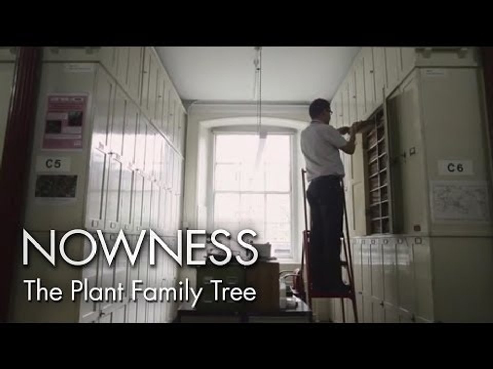 "The Plant Family Tree" by Kew Gardens and Lonelyleap