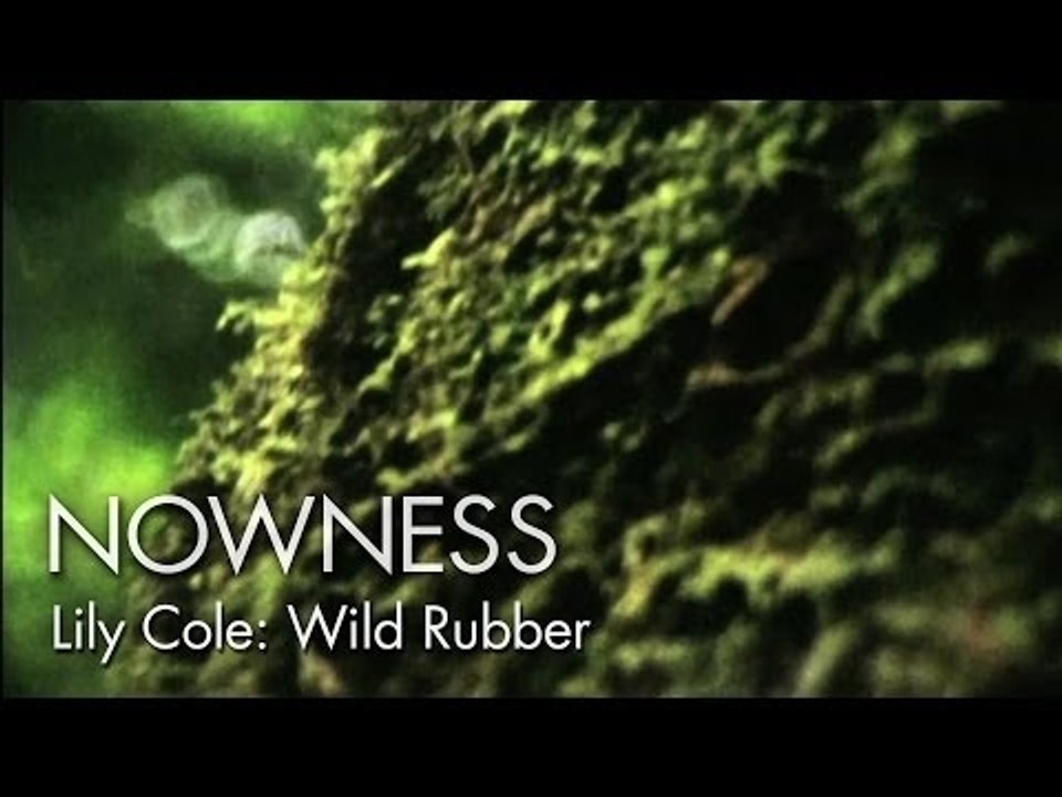 "Wild Rubber" by Lily Cole
