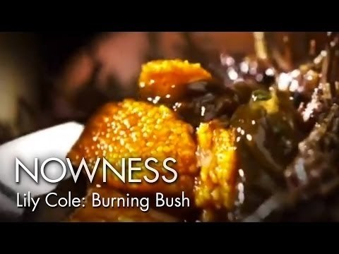 Margot Henderson and Lily Cole in Burning Bush by Kim Gehrig