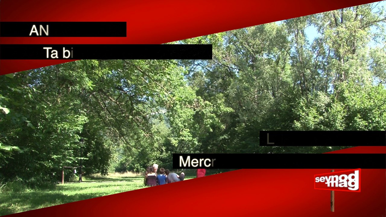 Seynodmag du 08 août 2014