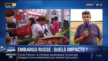 BFM Story: Embargo russe: quels impacts pour l'Europe ? - 07/08