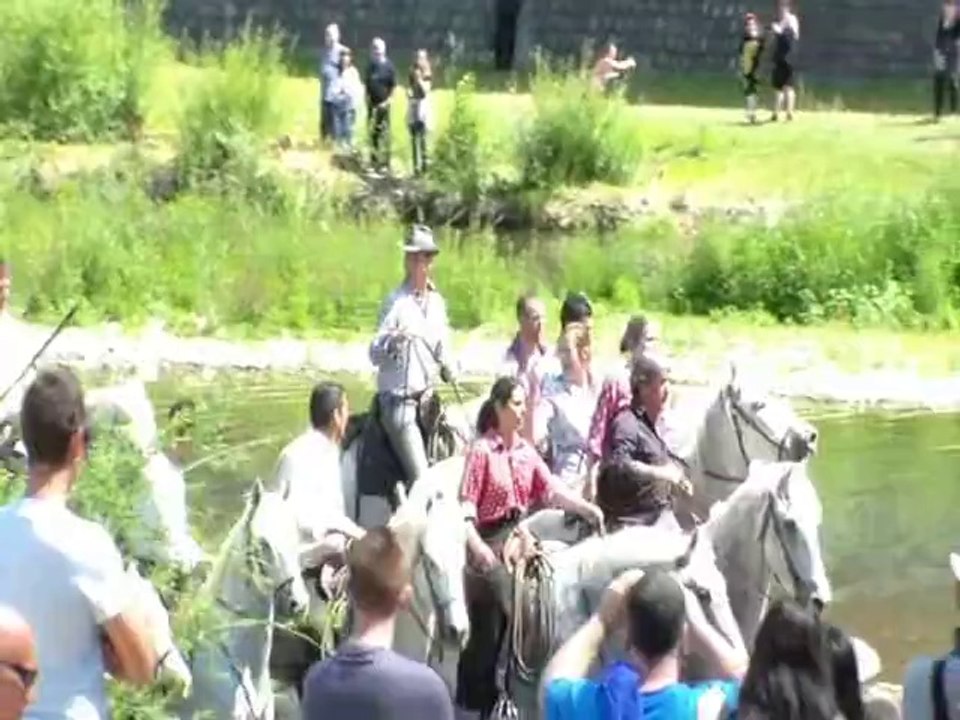 Feria Ales 2014 Gaze avec 8 taureaux par la manade Lafon dans le lit du Gardon