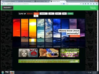 Paidverts Guideline for Beginners in English
