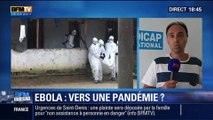 BFM Story: Ebola: vers une pandémie ? - 07/08