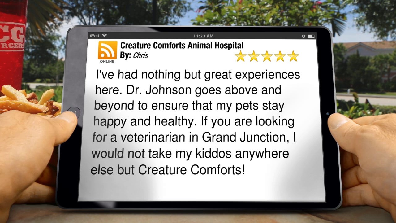 Creature Comforts Animal Hospital Grand Junction         Amazing         5 Star Review by Chris