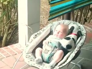 Şu Güzelliğe Bakarmısınız