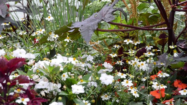 Chantier Jeunes Franco-Québécois : Episode 3