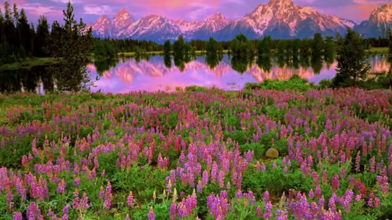 NEŞET ERTAŞ-İKİ BÜYÜK NİMETİM VAR