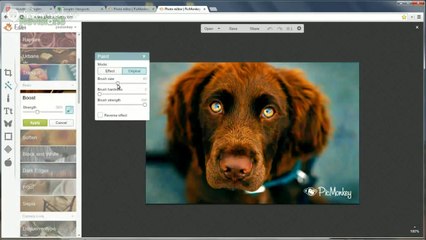 Getting Started with PicMonkey - GeekBeat Tips & Reviews