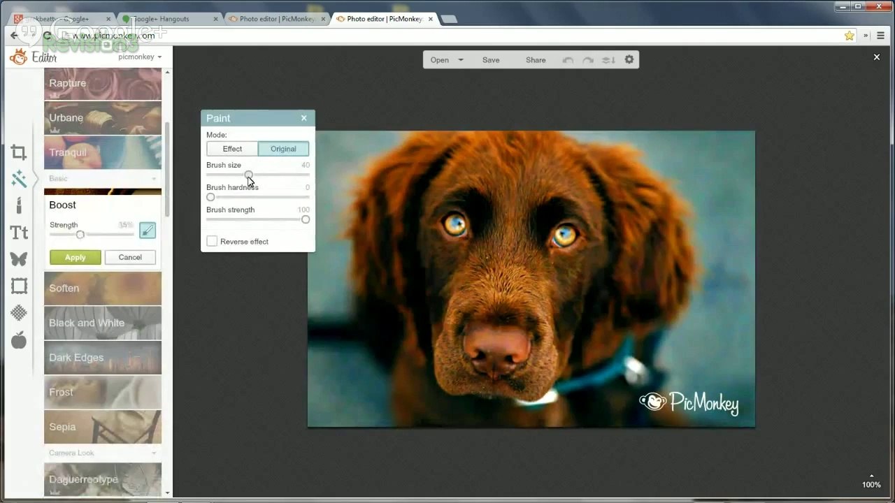 Getting Started with PicMonkey - GeekBeat Tips & Reviews