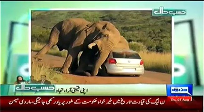 Hasb e Haal – 7th August 2014